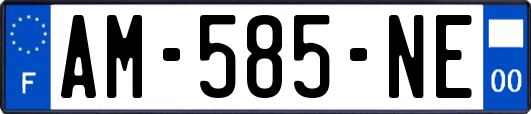 AM-585-NE