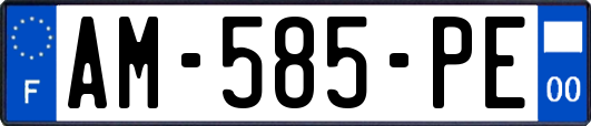AM-585-PE