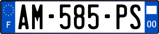 AM-585-PS