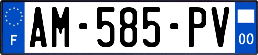 AM-585-PV