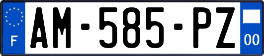 AM-585-PZ