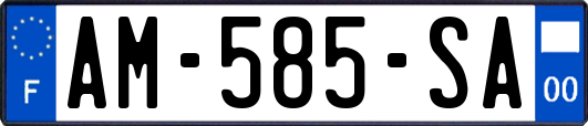 AM-585-SA