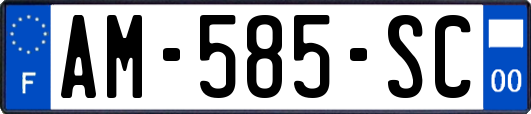 AM-585-SC