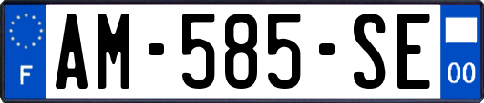 AM-585-SE