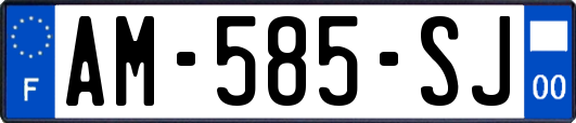 AM-585-SJ