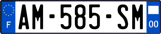 AM-585-SM