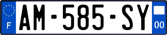 AM-585-SY