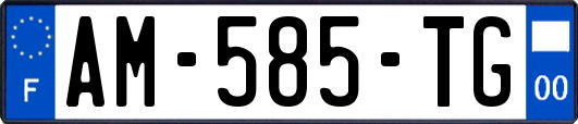 AM-585-TG