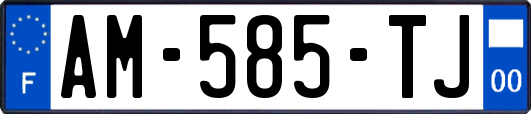 AM-585-TJ