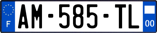AM-585-TL
