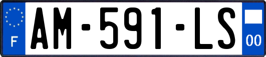 AM-591-LS