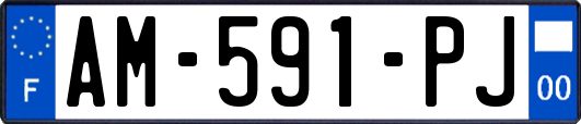 AM-591-PJ