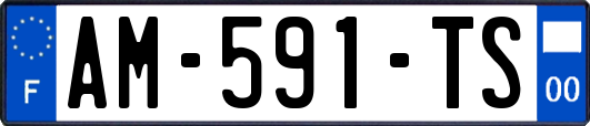 AM-591-TS