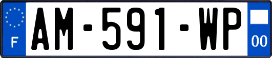 AM-591-WP