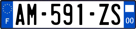 AM-591-ZS