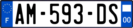 AM-593-DS