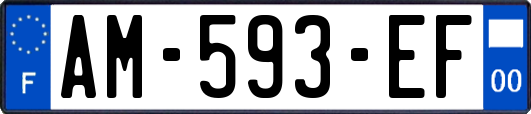 AM-593-EF