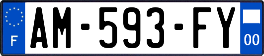 AM-593-FY