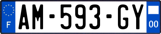 AM-593-GY