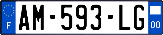 AM-593-LG