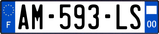 AM-593-LS