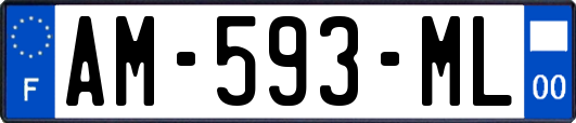 AM-593-ML