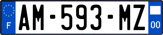 AM-593-MZ