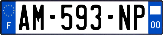 AM-593-NP