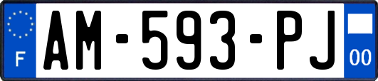 AM-593-PJ