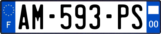 AM-593-PS