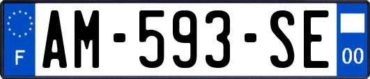 AM-593-SE