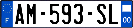 AM-593-SL