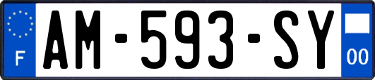 AM-593-SY