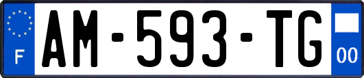 AM-593-TG