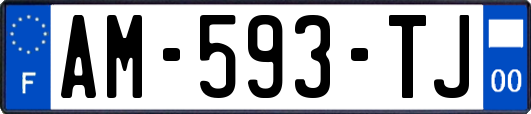 AM-593-TJ