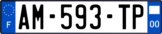 AM-593-TP