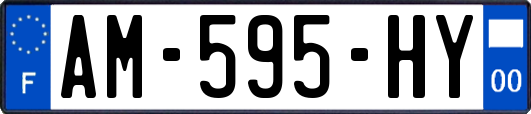 AM-595-HY