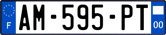 AM-595-PT
