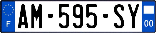 AM-595-SY