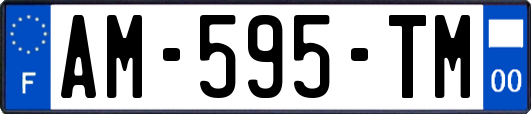 AM-595-TM