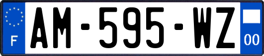 AM-595-WZ