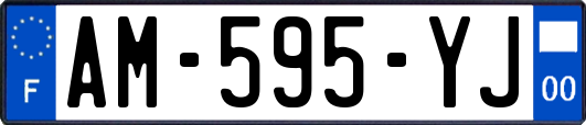 AM-595-YJ