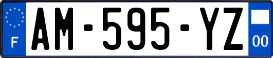 AM-595-YZ