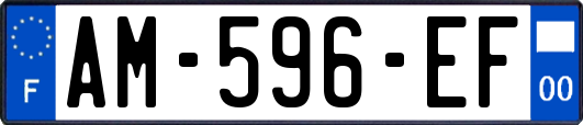 AM-596-EF