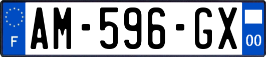AM-596-GX