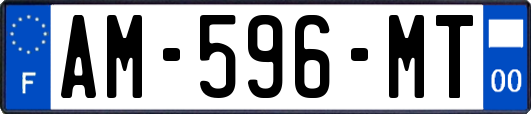 AM-596-MT