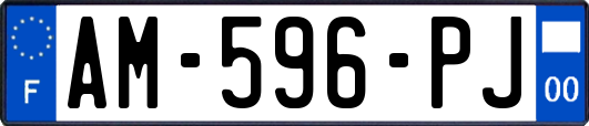 AM-596-PJ