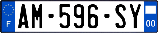 AM-596-SY