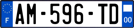 AM-596-TD