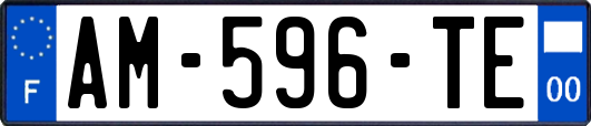 AM-596-TE